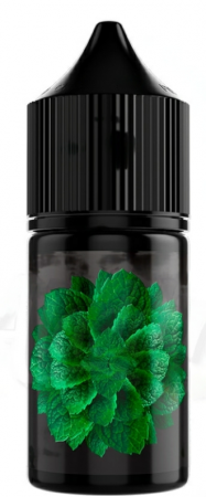 Жидкость SOAK L 30ml 20mg (Тростниковая мята, Light)